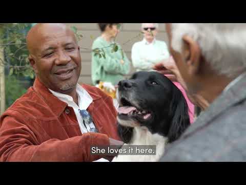 Preview image for the video "Mayfield Watford - Owners Testimonials".