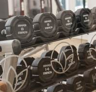 Dumbbells in a gym are neatly arranged on a rack.