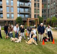 Mayfield Dog Show with owners and friends and family
