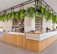Modern café interior with a wooden counter, hanging plants, and a menu on the wall. A person is working behind the counter, and seating is visible in the background.