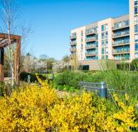 A residential building with balconies is surrounded by a landscaped garden featuring yellow flowering bushes, a wooden pergola, and benches, under a clear blue sky.