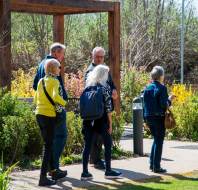 A group of five elderly people walk through a garden path with trees and shrubs on a sunny day.