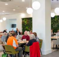 People seated at tables in a modern cafeteria, conversing and eating. The room features plants on the walls and round, hanging lights.