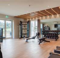 Modern gym with cardio machines, weight benches, free weights, and a large mirror. Floor-to-ceiling windows provide natural light and outdoor views.