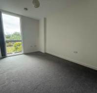Unfurnished room with grey carpet, white walls, a ceiling light, and a large window with a view of greenery outside.