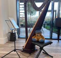 Myles performing at a village event