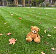 Mayfield Watford welcomes Myles the bear