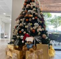 Myles the bear celebrating his first Christmas at Mayfield Watford