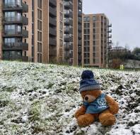 Myles in the snow at Mayfield Watford