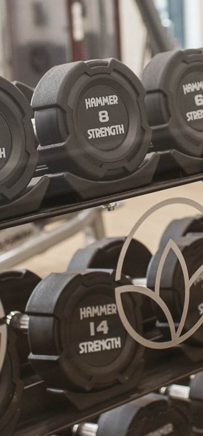 Dumbbells in a gym are neatly arranged on a rack.