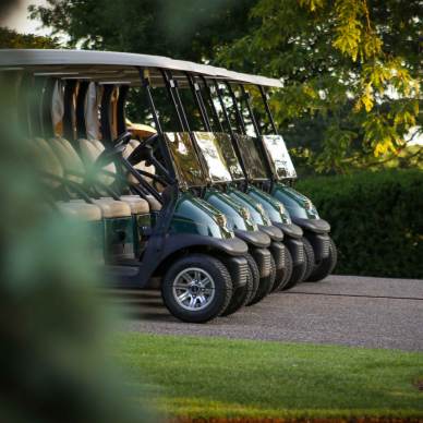 Side view on aligned golf cars in the park