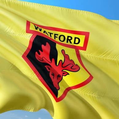 Watford football club flag