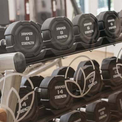 Dumbbells in a gym are neatly arranged on a rack.