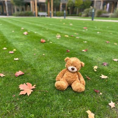 Mayfield Watford welcomes Myles the bear