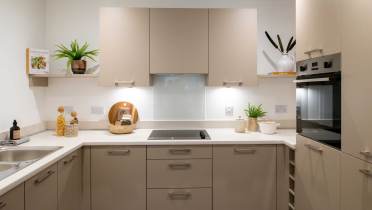 Modern kitchen with beige cabinets, built-in oven, electric cooktop, and white countertops. Plants and kitchenware are placed on the countertops and shelves.