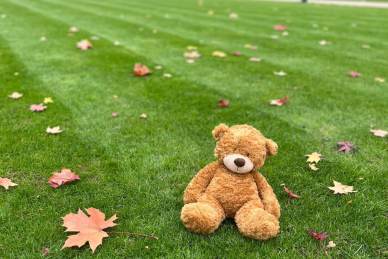 Mayfield Watford welcomes Myles the bear